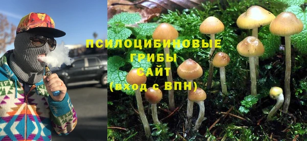apvp Горно-Алтайск