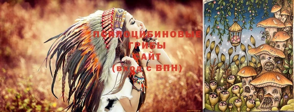 apvp Горно-Алтайск