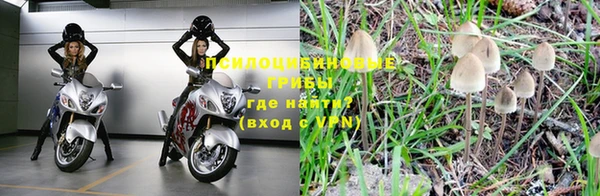 apvp Горно-Алтайск