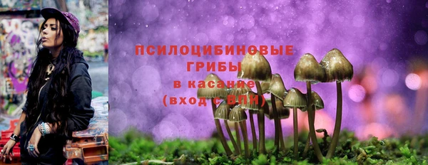 герыч Горняк